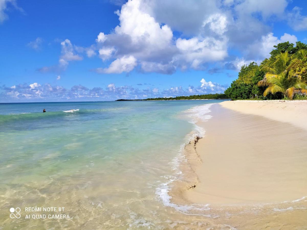 Kaz A Klemence Gite Creole Avec Piscine Et Table Dhotes A Anse Bertrand Exteriér fotografie