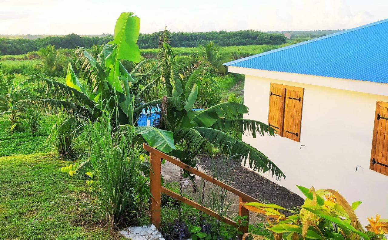 Kaz A Klemence Gite Creole Avec Piscine Et Table Dhotes A Anse Bertrand Exteriér fotografie