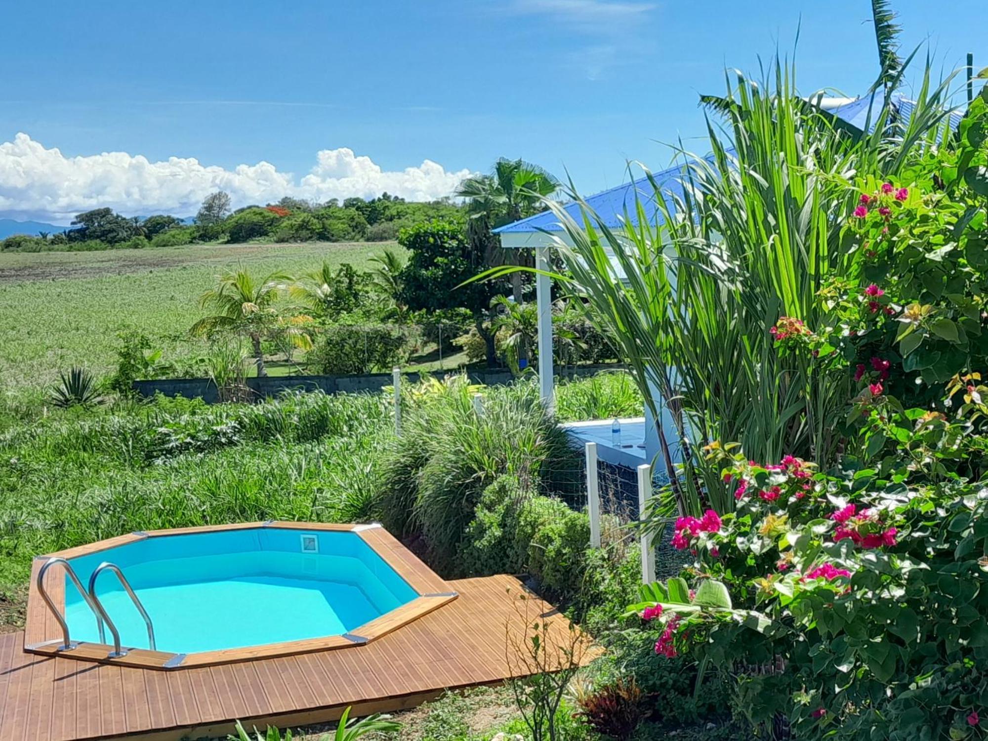 Kaz A Klemence Gite Creole Avec Piscine Et Table Dhotes A Anse Bertrand Exteriér fotografie