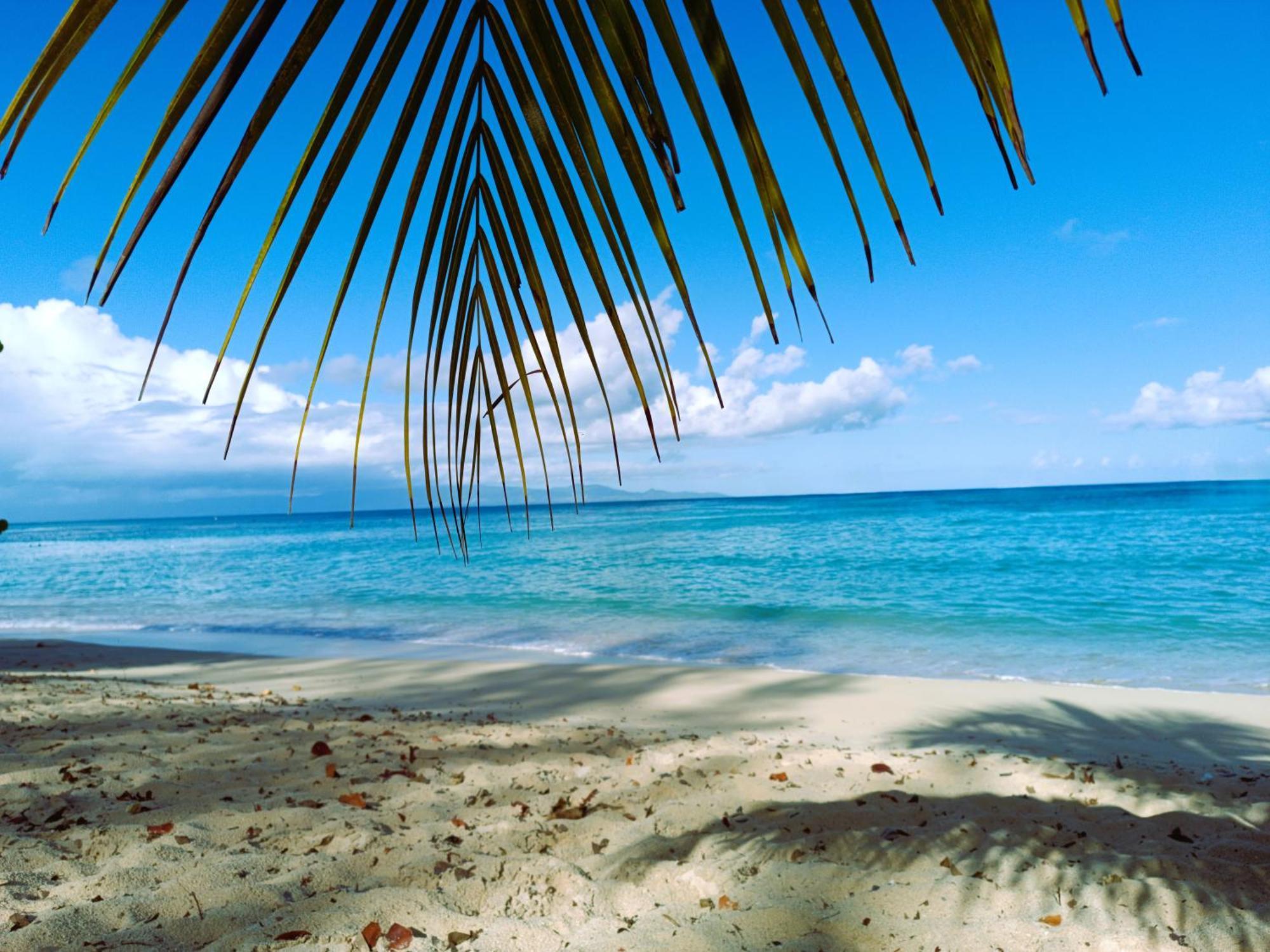 Kaz A Klemence Gite Creole Avec Piscine Et Table Dhotes A Anse Bertrand Exteriér fotografie